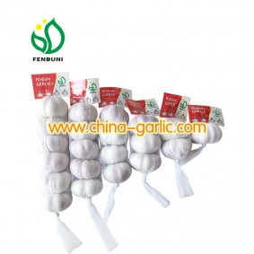 Best Organic Chinese Garlic