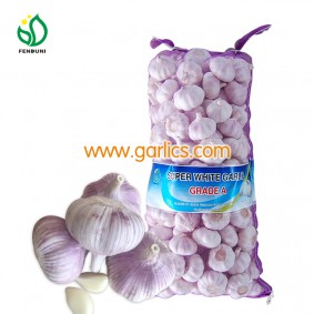 2022 Fresh Garlic from China, 10kg/bag - new crop, hot sales