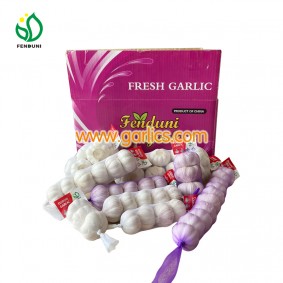 Jinxiang 100% Natural Garlic