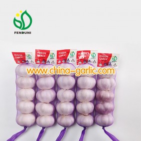 China Best Garlic Brand Fenduni Garlic Price List with Cheap Price
