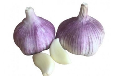 White garlic PK purple garlic! Sprouted garlic has magical effect!